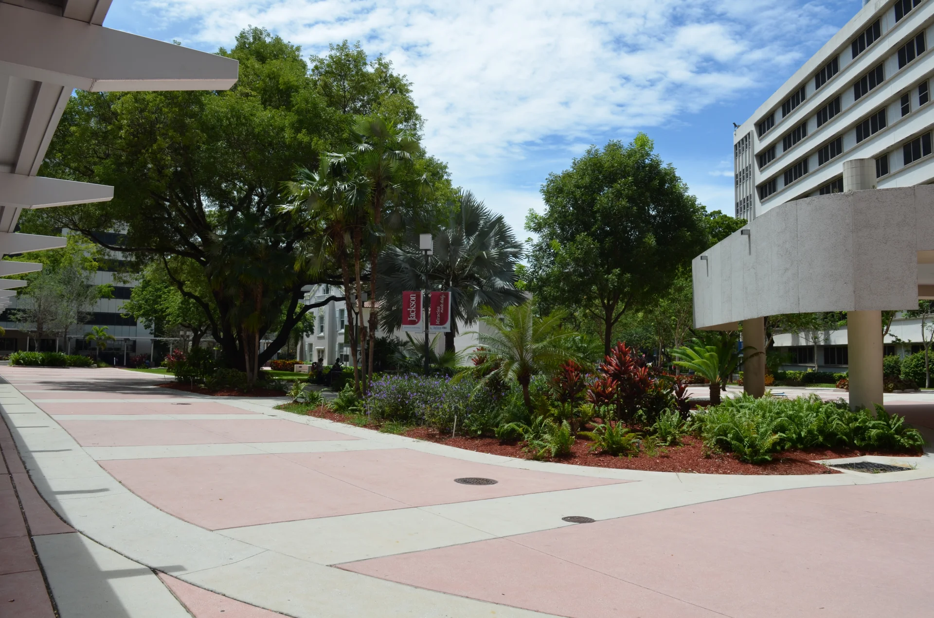 Jackson Memorial Hospital Renovations