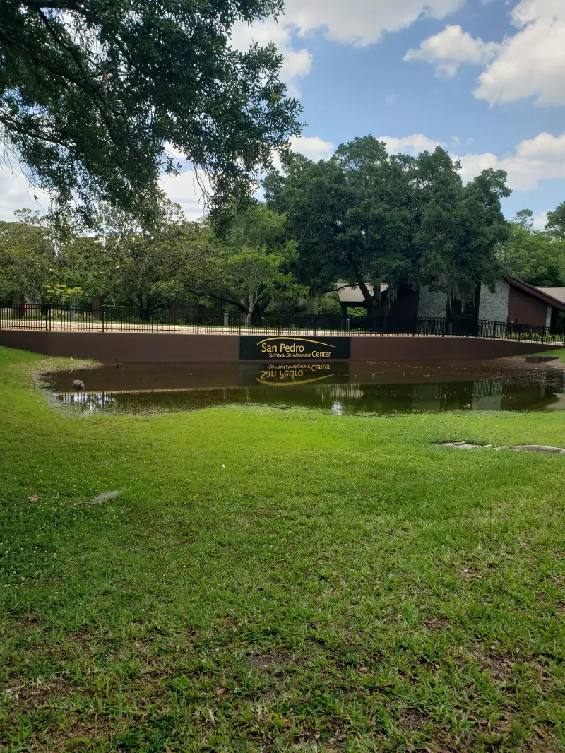 sidewalk and railing over water