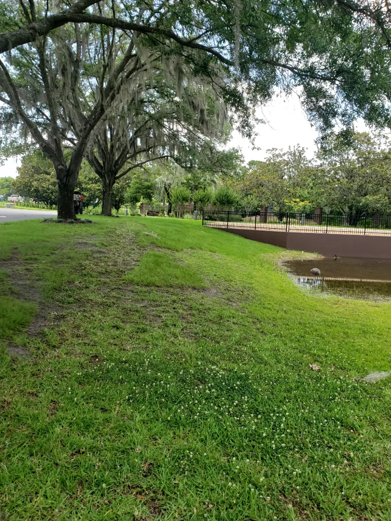 sidewalk and railing over water